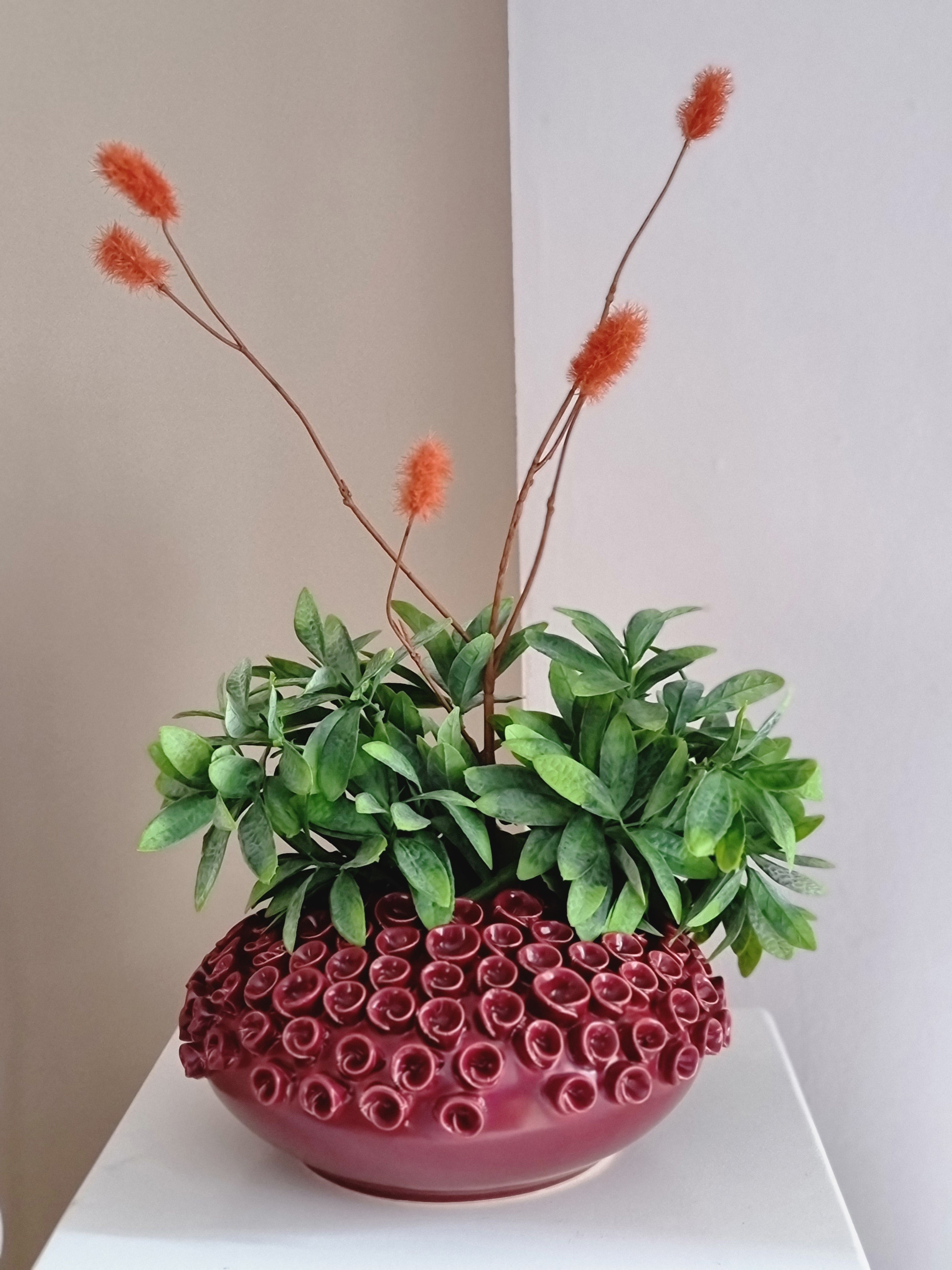 Vaas | RIVA Burgundy