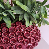 Vaas | RIVA Burgundy