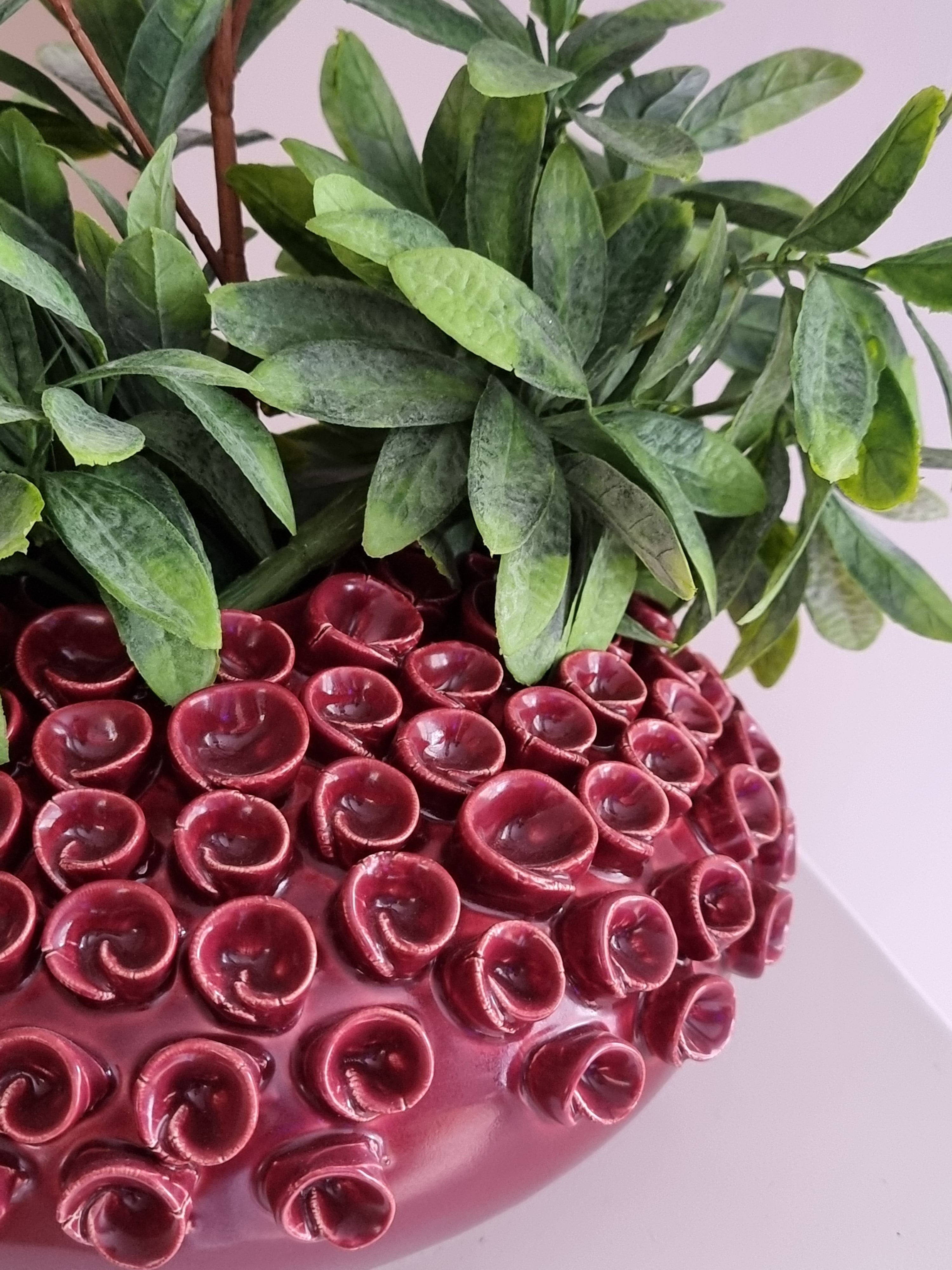 Vaas | RIVA Burgundy