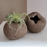 Vaas | Organic brown