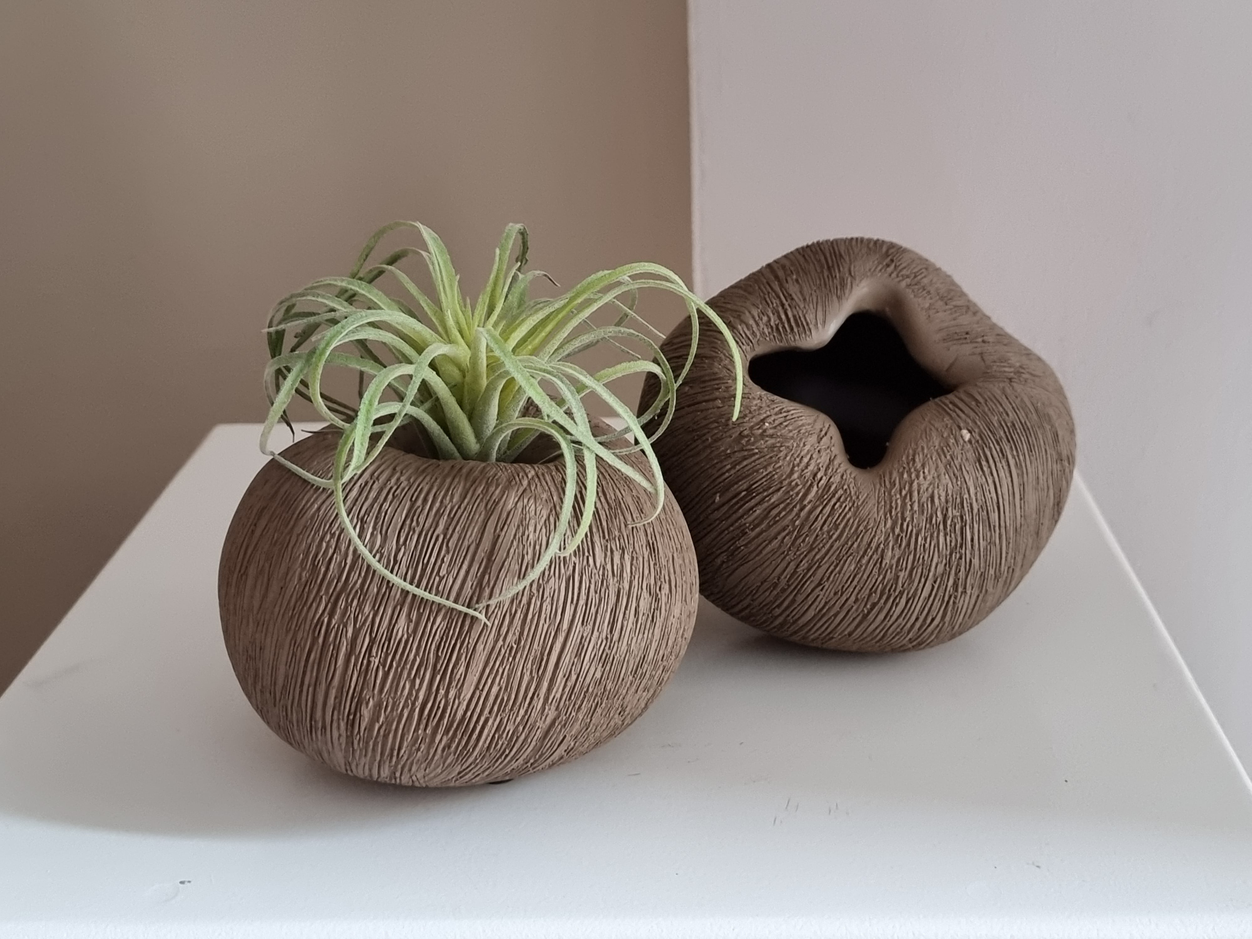 Vaas | Organic brown