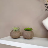 Vaas | Organic brown