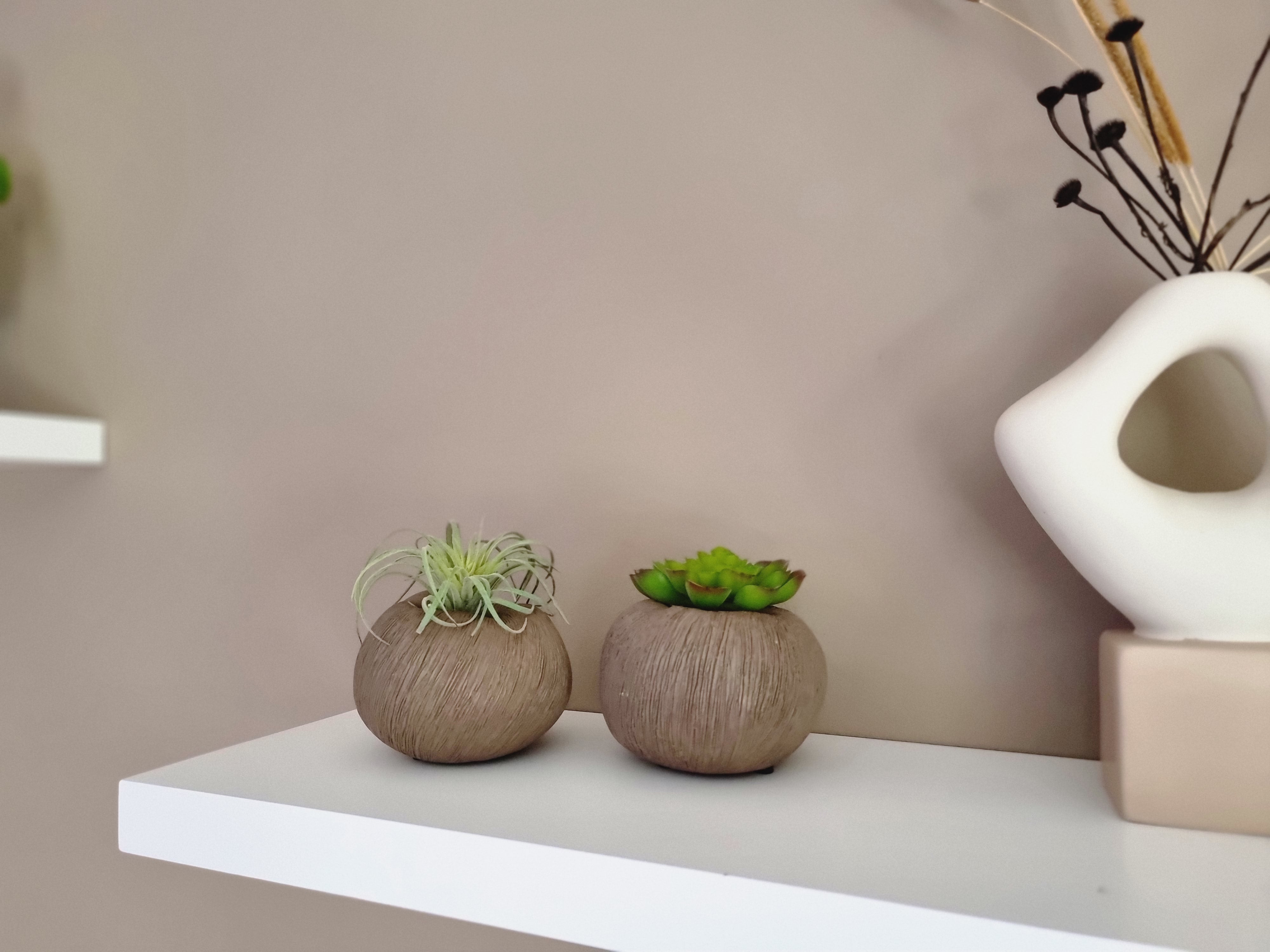 Vaas | Organic brown