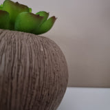 Vaas | Organic brown