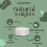 Tealights | C-lights natural tealights