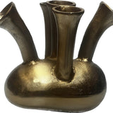 Vaas | Assen 5 gold