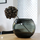 Vaas | Zambezi Grey