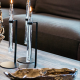 Schaal |Living Oyster scale oesterschaal