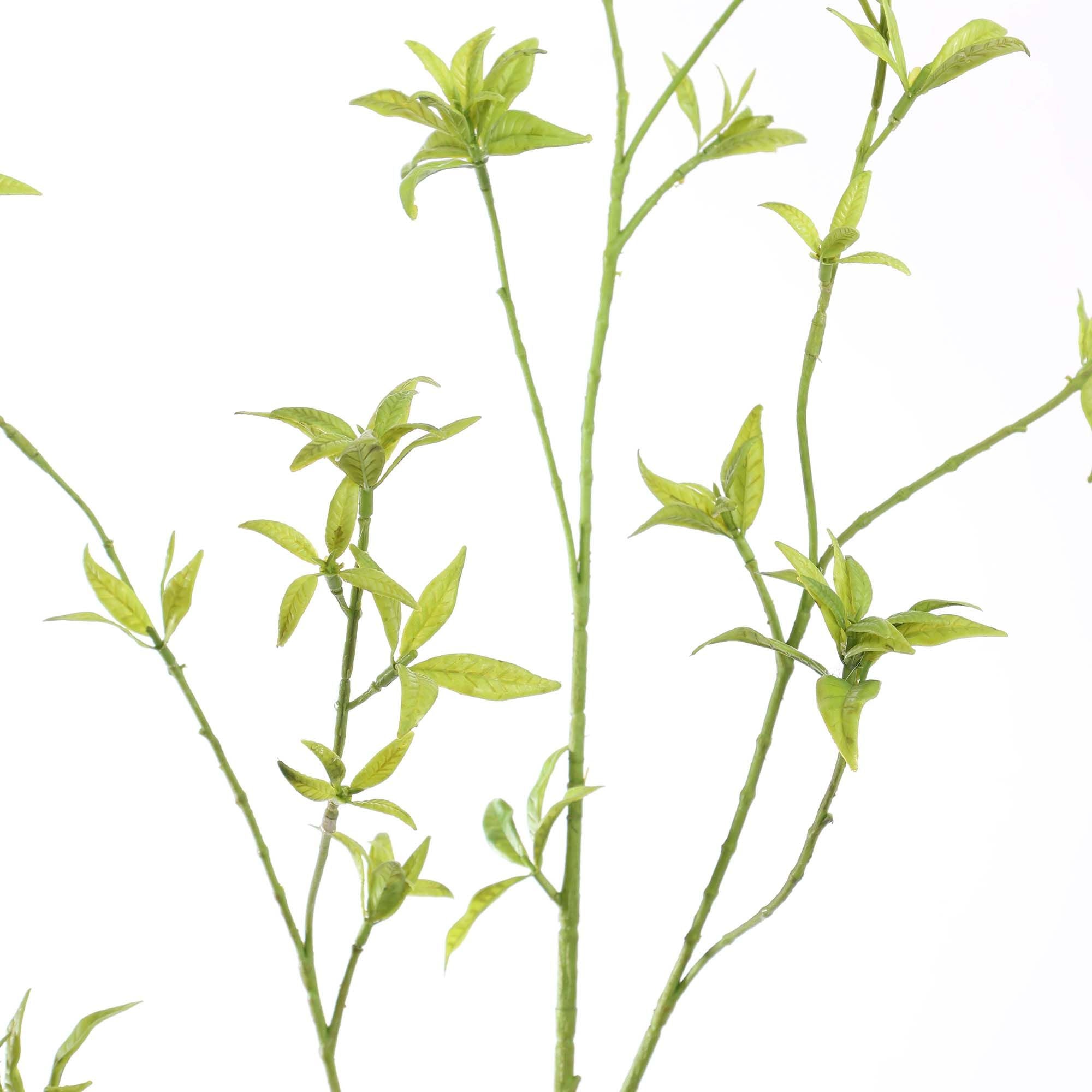 Seidenblumen | Ahorn Grün