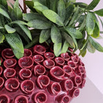 Vaas | RIVA Burgundy
