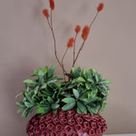 Vaas | RIVA Burgundy