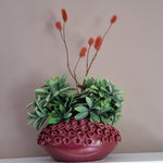 Vaas | RIVA Burgundy