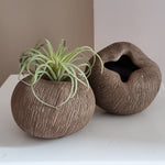 Vaas | Organic brown
