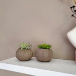 Vaas | Organic brown
