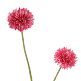 Zijdebloemen | Bal Dahlia Roze