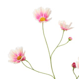 Seidenblumen | Kosmeen rosa