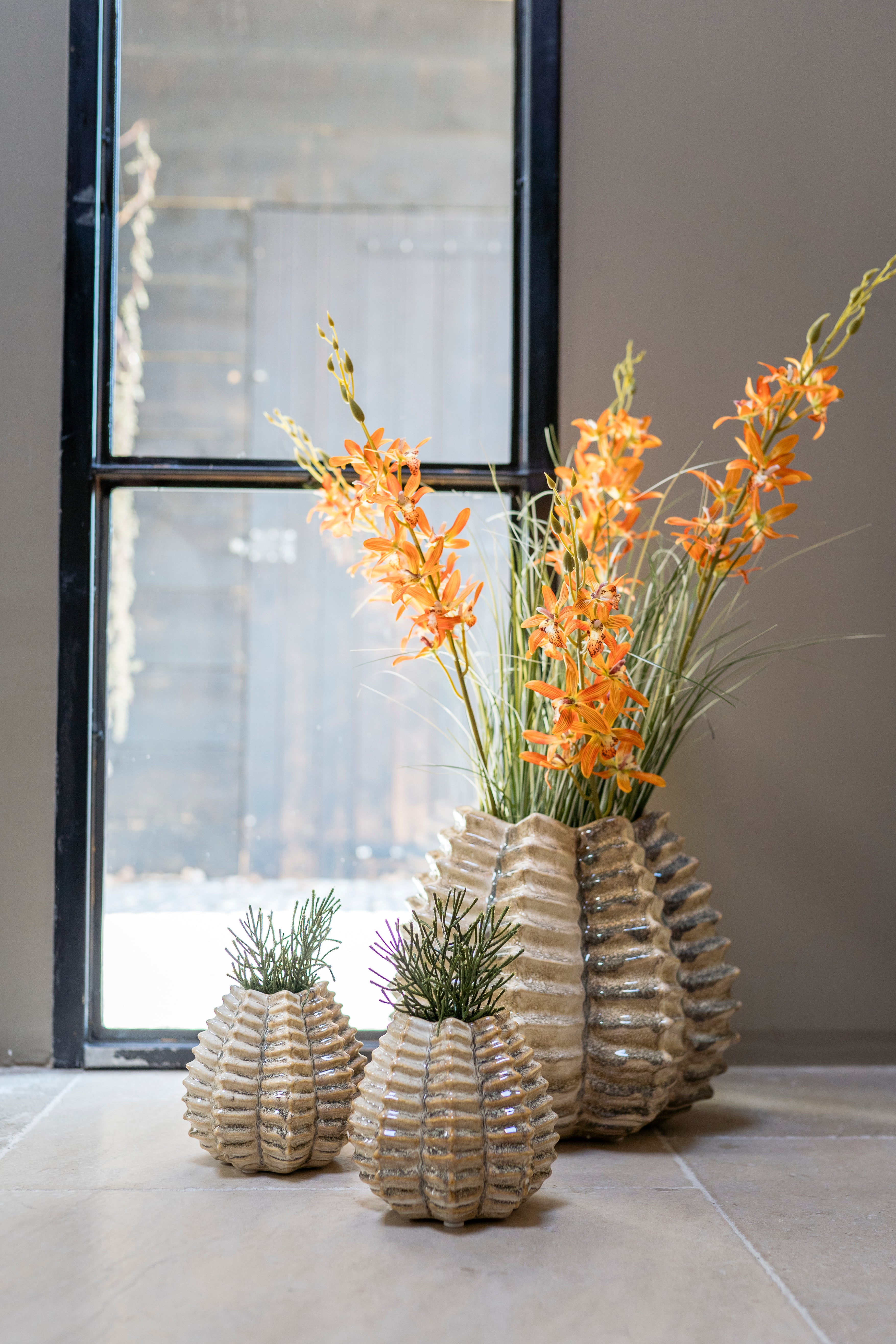 Vaas | Sandy Wave Champagne